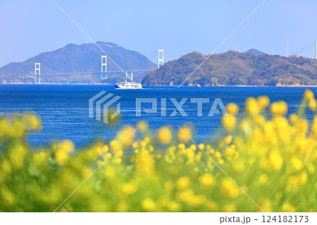 【愛媛県】快晴の来島海峡大橋と菜の花（大角海浜公園） 124182173