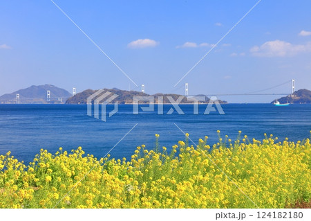 【愛媛県】快晴の来島海峡大橋と菜の花(大角海浜公園) 【愛媛県】快晴の来島海峡大橋と菜の花(大角海浜公園) 124182180