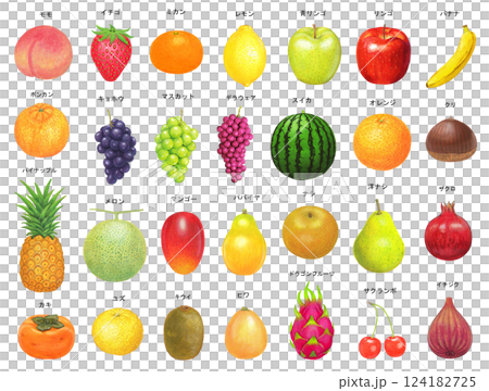 Fruit illustration set 124182725