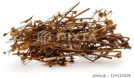 Ayurvedic medicinal Chirata 124182826