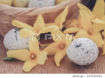Easter egg with spring flower forsythia Easter egg with spring flower forsythia 124182922