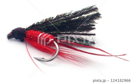 Fishing fly with hook Fishing fly with hook 124182966