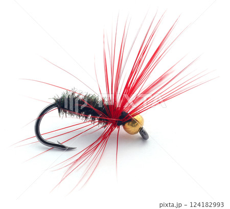 Fishing fly with hook 124182993