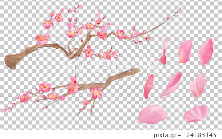 梅花水彩插圖。紅梅。一組花瓣和樹枝。 124183145