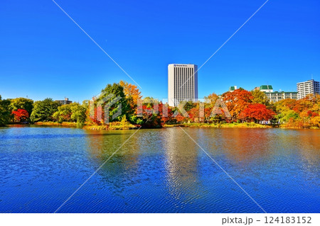 秋晴れの札幌市中島公園 紅葉風景 秋晴れの札幌市中島公園 紅葉風景 124183152