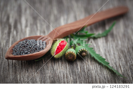 Poppy flower seeds and leaves 124183291