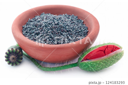 Poppy flower seeds and pods Poppy flower seeds and pods 124183293