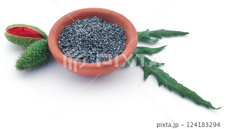 Poppy flower leaves and seed Poppy flower leaves and seed 124183294