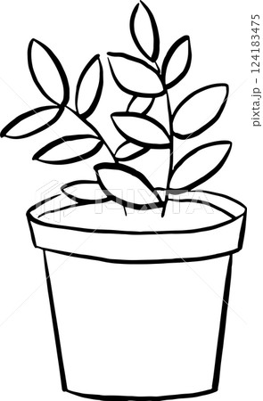 植木鉢の線画イラスト 植木鉢の線画イラスト 124183475