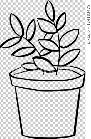 植木鉢の線画イラスト 植木鉢の線画イラスト 124183475
