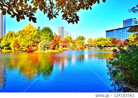 秋晴れの札幌市中島公園 紅葉風景 秋晴れの札幌市中島公園 紅葉風景 124183561