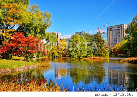 秋晴れの札幌市中島公園 紅葉風景 秋晴れの札幌市中島公園 紅葉風景 124183563