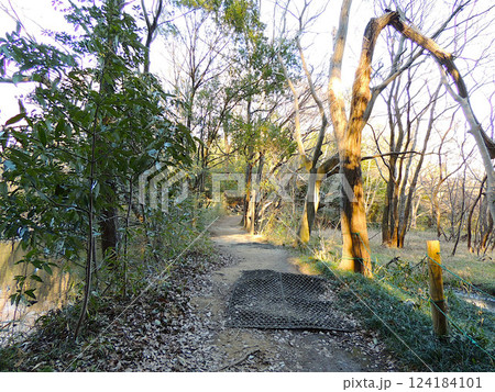 石戸城　一夜堤 124184101