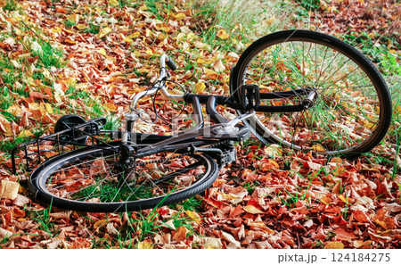 Bike in autumn leaves Bike in autumn leaves 124184275