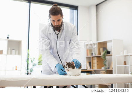 Bearded male veterinarian wearing white coat and blue gloves using stethoscope on relaxed cat, light-filled clinic room with bookshelves and plants in background, representing animal healthcare Bearded male veterinarian wearing white coat and blue gloves using stethoscope on relaxed cat, light-filled clinic room with bookshelves and plants in background, representing animal healthcare 124184326