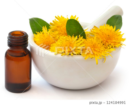Medicinal dandelion and extract Medicinal dandelion and extract 124184991