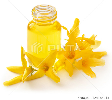 Forsythia with essential oil in a bottle 124185013