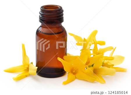 Forsythia with essential oil in a bottle 124185014