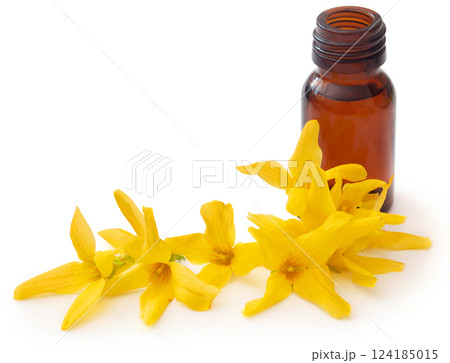Forsythia with essential oil in a bottle 124185015
