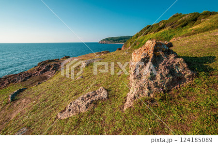 Rocky coastal area around Hammershus Ruins Rocky coastal area around Hammershus Ruins 124185089