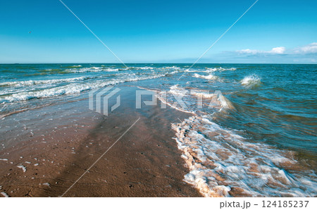 Beach at Skagen in Denmark 124185237