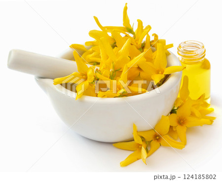 Forsythia with essential oil 124185802