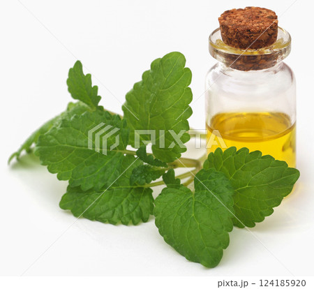 Lemon balm with essential oil 124185920