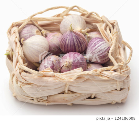 Solo or single clove garlic 124186009