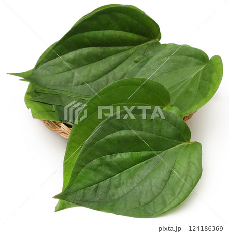 Betel leaves Betel leaves 124186369