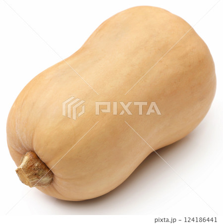 Butternut squash Butternut squash 124186441