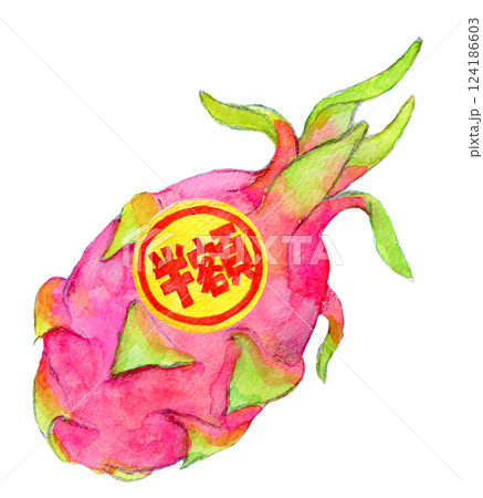 水彩イラスト 半額シールが貼られたドラゴンフルーツ 水彩イラスト 半額シールが貼られたドラゴンフルーツ 124186603