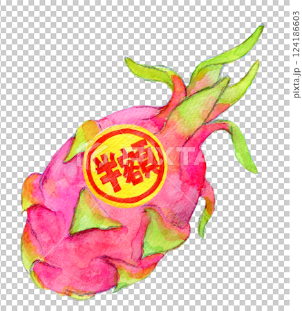 水彩イラスト 半額シールが貼られたドラゴンフルーツ 水彩イラスト 半額シールが貼られたドラゴンフルーツ 124186603