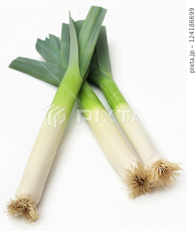 Fresh leek stems and leaves 124186699