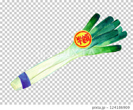 Watercolor illustration: A bunch of green onions with a half-price sticker attached 124186909