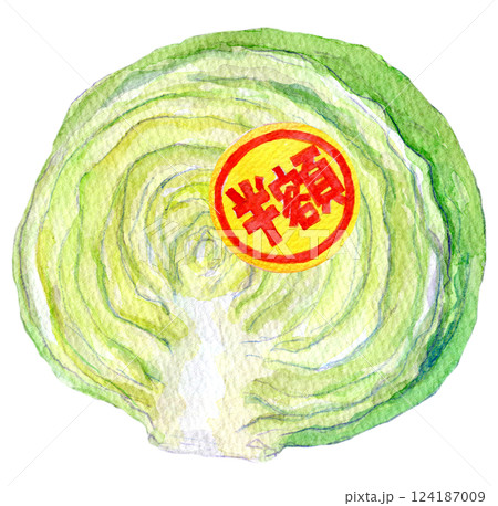 水彩イラスト　半額シールが貼られたキャベツ 124187009