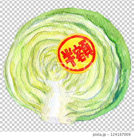 水彩插圖：貼有半價標籤的高麗菜 124187009