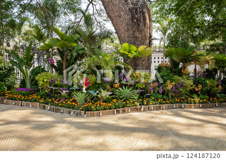 Ancient, Antique, Backgrounds, Botanical Garden, Colored Background 124187120