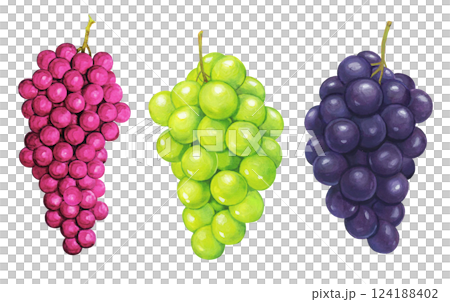 3種の葡萄のイラスト セット 124188402