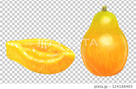 木瓜的插圖 124188403