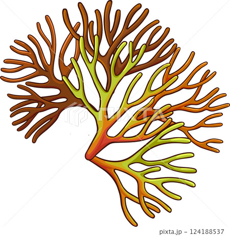 Sea Moss Plant Colored Detailed  Illustration. 124188537