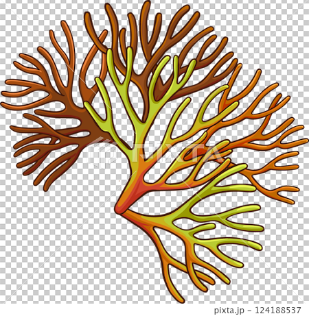 Sea Moss Plant Colored Detailed  Illustration. 124188537