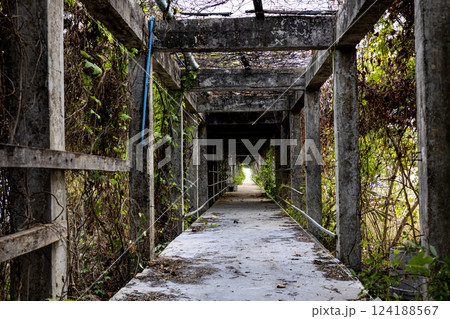 Corridor On The Terrace Of An Abandoned 124188567