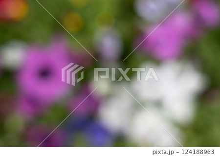 花イメージのボカシ背景 124188963