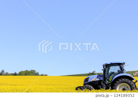 北海道安平町、黄色いじゅうたんに染まる菜の花畑を走るトラクター【5月】 124189352