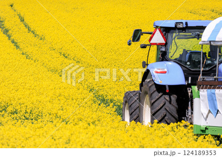 北海道安平町、黄色いじゅうたんに染まる菜の花畑を走るトラクター【5月】 北海道安平町、黄色いじゅうたんに染まる菜の花畑を走るトラクター【5月】 124189353