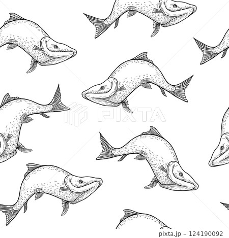Trout black white vector seamless pattern. Salmon monochrome sketch hand drawn. Nerka sea fish painted engraving on repeat background. Variety sockeye in graphic for package, fabric, wrapping paper. Trout black white vector seamless pattern. Salmon monochrome sketch hand drawn. Nerka sea fish painted engraving on repeat background. Variety sockeye in graphic for package, fabric, wrapping paper. 124190092