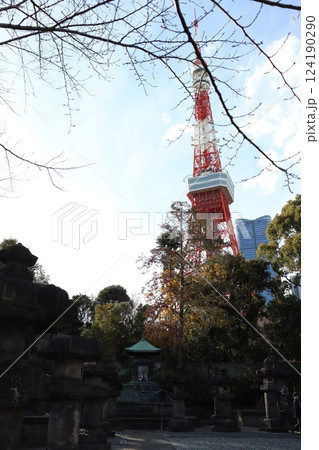 増上寺から見た東京タワー 増上寺から見た東京タワー 124190290