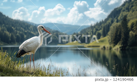 White stork standing near lake with mountain landscape in background, copy space 124190466