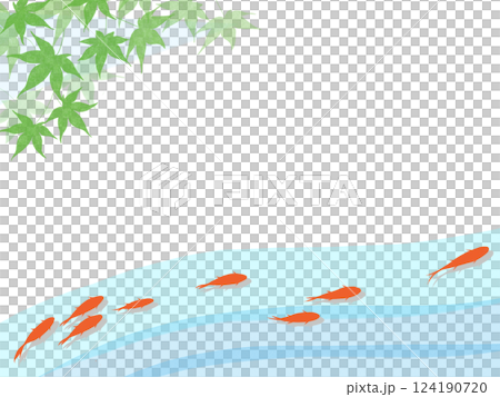 涼しげな川を泳ぐ金魚と夏のもみじの背景フレーム 124190720