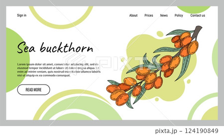Vintage berry. Sea buckthorn landing page. Healthy vitamin berry. Fruit sour taste. Delicious juicy. Ripe harvest sketch. Plant product for jam. Organic product. Natural herb flavor. Vector background Vintage berry. Sea buckthorn landing page. Healthy vitamin berry. Fruit sour taste. Delicious juicy. Ripe harvest sketch. Plant product for jam. Organic product. Natural herb flavor. Vector background 124190849
